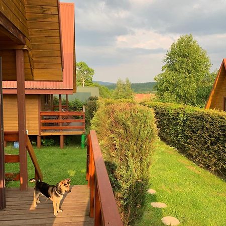 Domki Nad Solina Czarny Kot 509-797-777 Exteriör bild