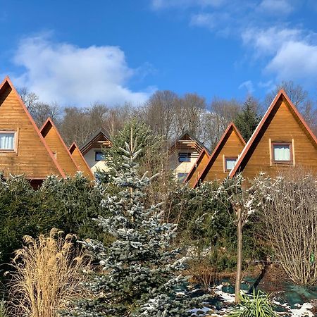Domki Nad Solina Czarny Kot 509-797-777 Exteriör bild