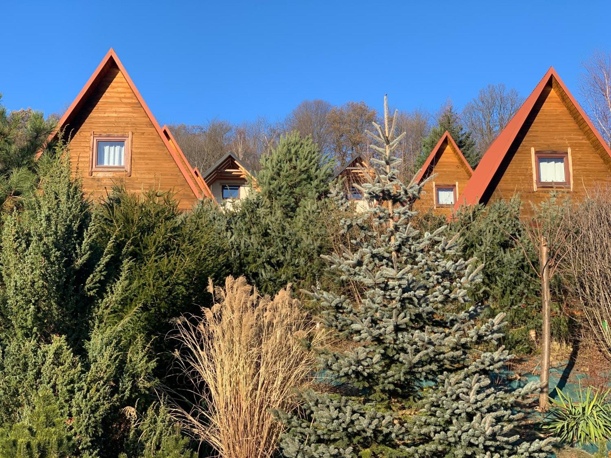 Domki Nad Solina Czarny Kot 509-797-777 Exteriör bild